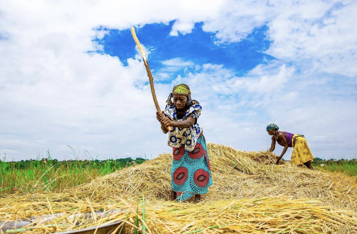 Environmental Conservation